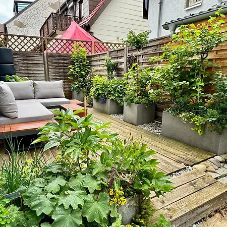 Schwabennestle - Albstadt-onstmettingen *